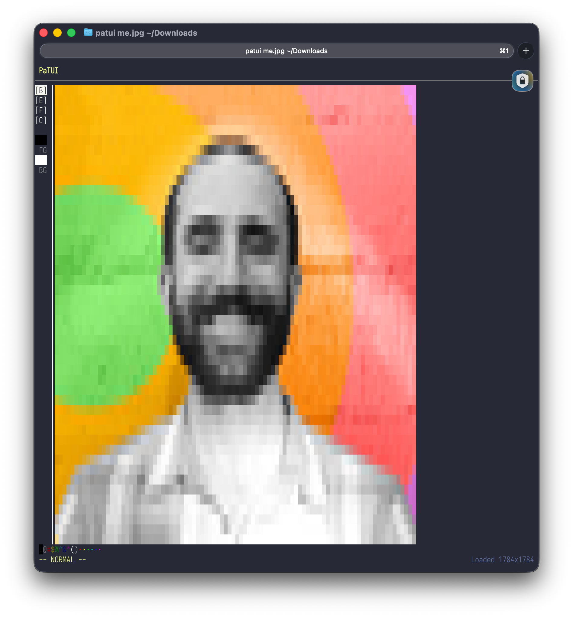 The PaTUI screen with an image of the author's face loaded