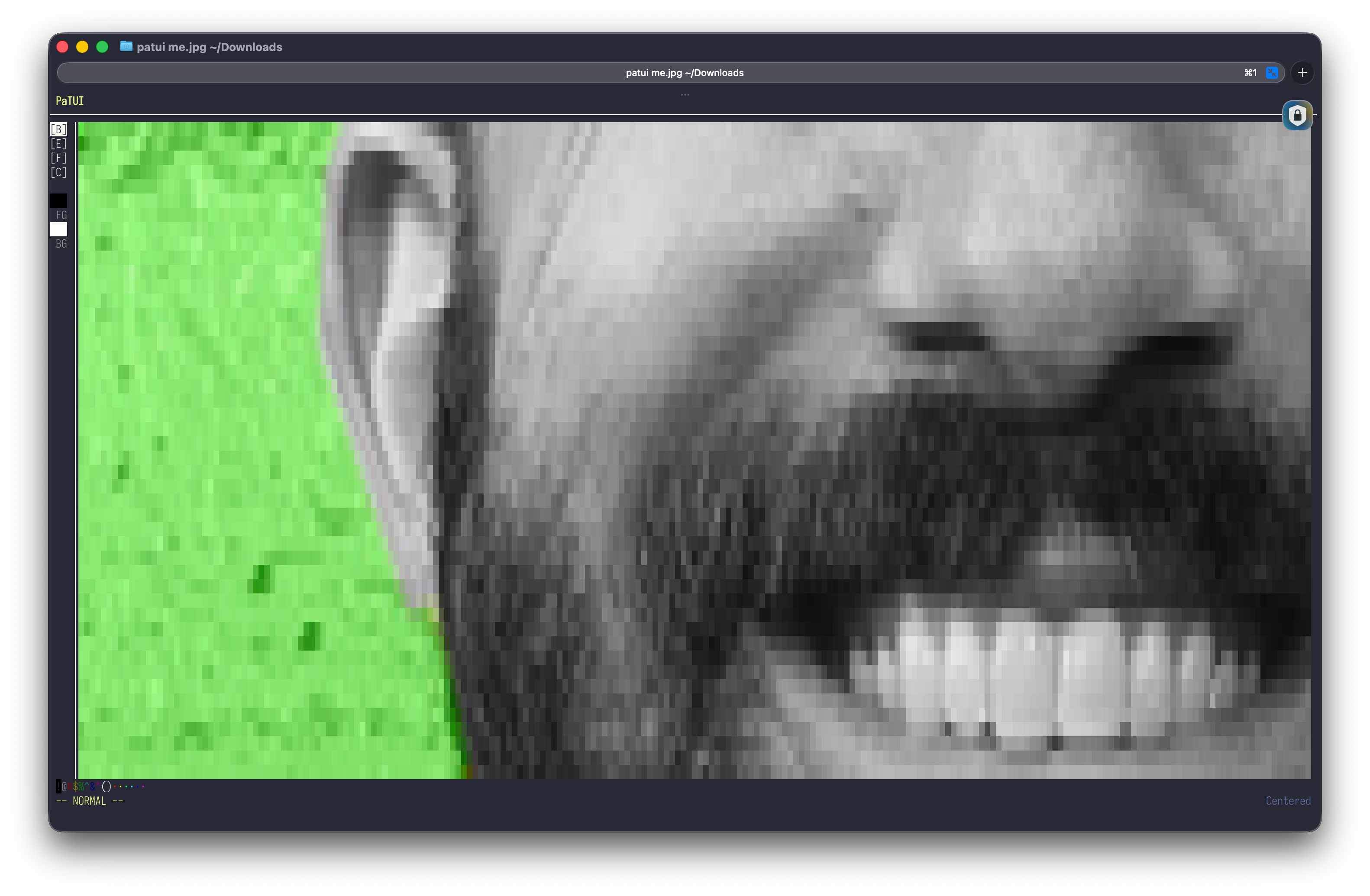 The PaTUI screen with the zoom feature engaged on the loaded image
